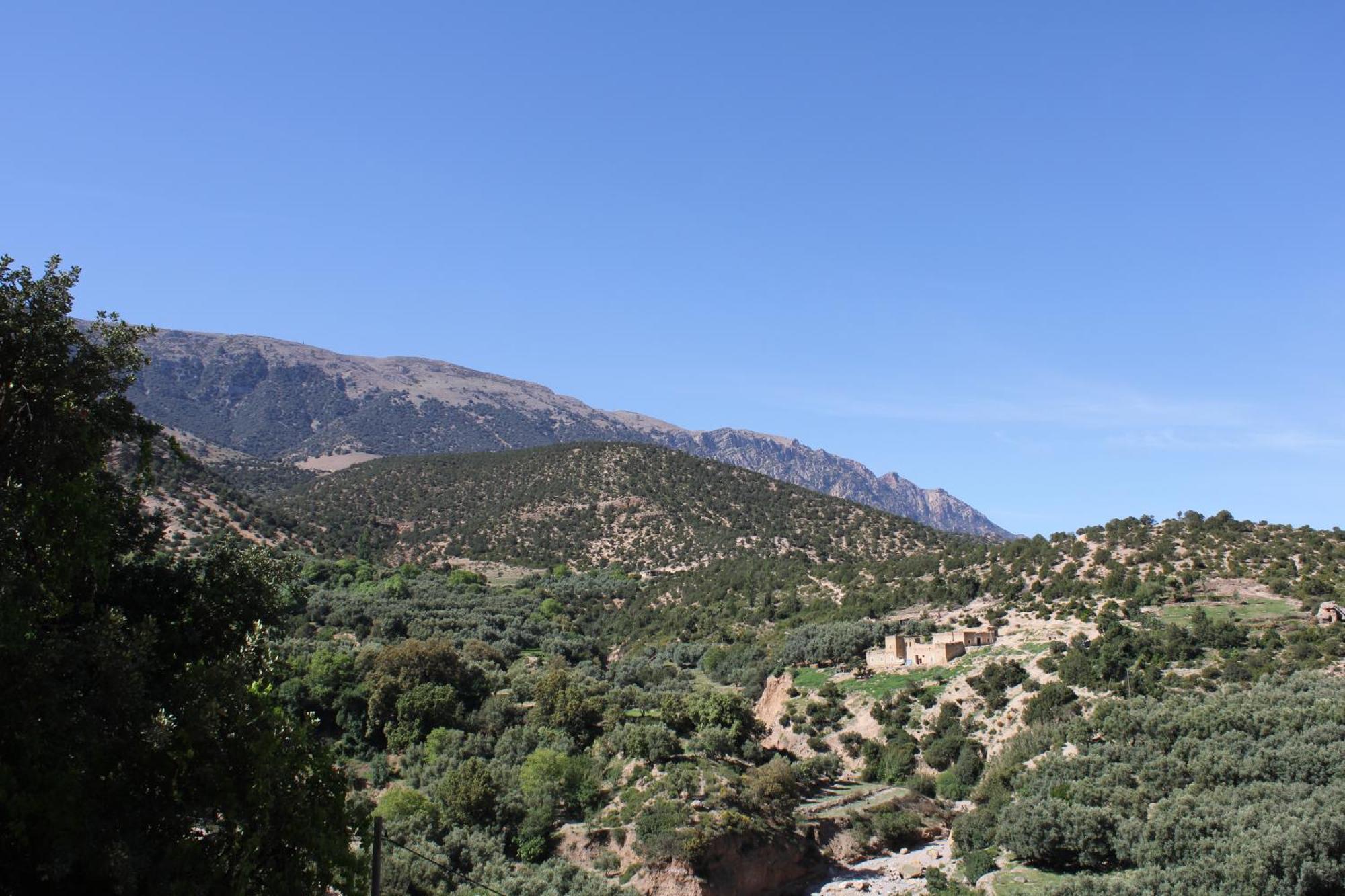 Gite Skoura Caid Bou Malla Exterior photo